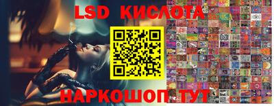 прущие грибы Гусь-Хрустальный