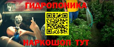 apvp Гусев