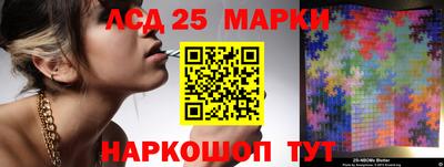 apvp Гусев