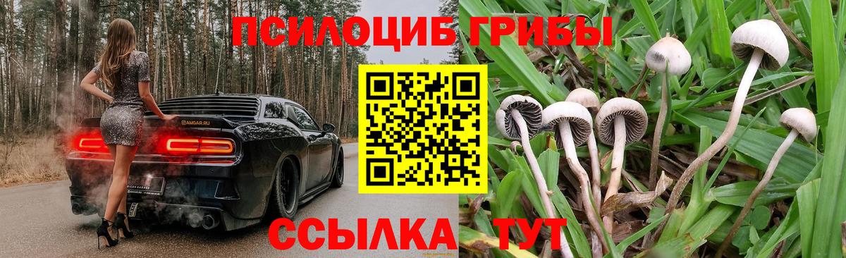 Кизляр  Псилоцибиновые грибы прущие грибы  Вход с VPN  Галлюциногенные грибы ЛСД 