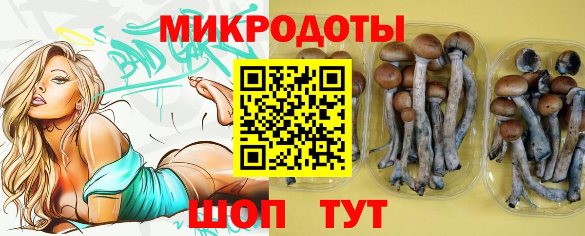 Псилоцибиновые грибы Cubensis Кизляр